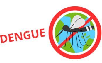 Atividades sobre dengue - educação infantil