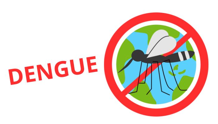 Atividades sobre dengue - educação infantil